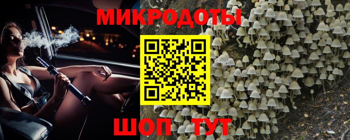 Петрозаводск  Псилоцибиновые грибы прущие грибы  Вход с VPN 